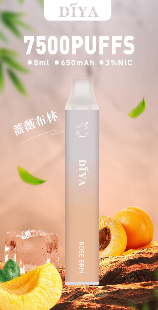 66.jpg 新品上市【叮啞抛棄式7500口】可充電  💖薔薇布林口味✨台灣獨家登場🔥 CP值最高 零故障 限時活動